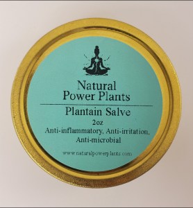 Plantain Salve 2oz